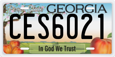 GA license plate CES6021