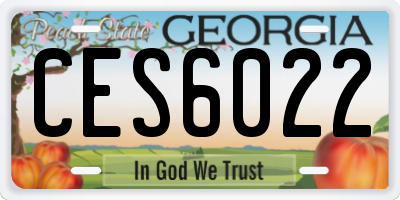GA license plate CES6022
