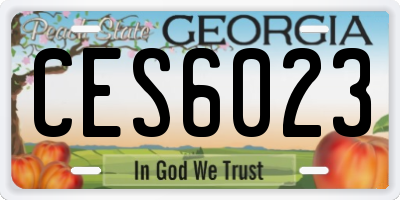 GA license plate CES6023