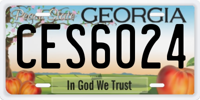 GA license plate CES6024
