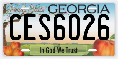 GA license plate CES6026