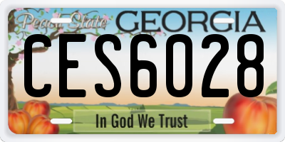 GA license plate CES6028