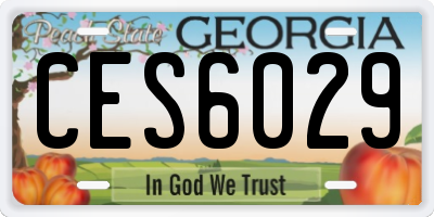 GA license plate CES6029
