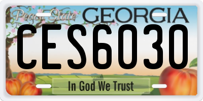 GA license plate CES6030