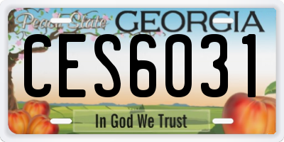 GA license plate CES6031