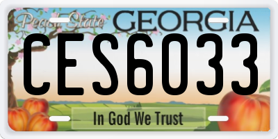 GA license plate CES6033