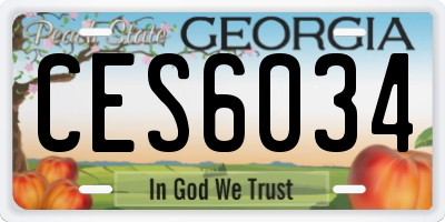 GA license plate CES6034