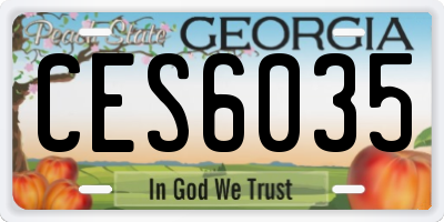 GA license plate CES6035