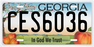 GA license plate CES6036