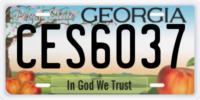GA license plate CES6037