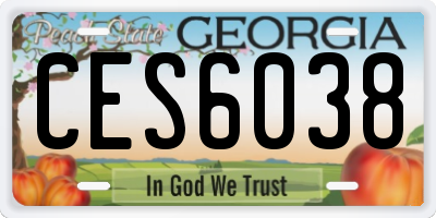 GA license plate CES6038