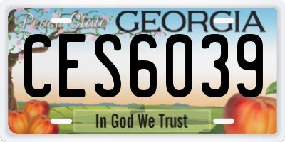 GA license plate CES6039
