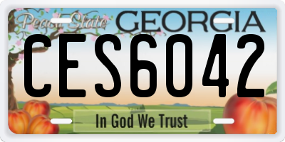 GA license plate CES6042