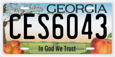 GA license plate CES6043