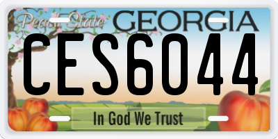 GA license plate CES6044