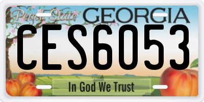GA license plate CES6053