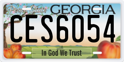 GA license plate CES6054