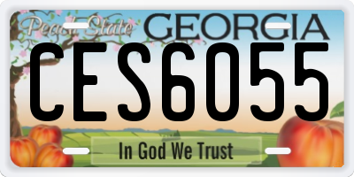 GA license plate CES6055