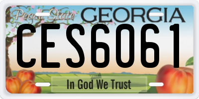 GA license plate CES6061