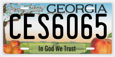 GA license plate CES6065