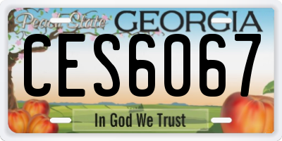 GA license plate CES6067