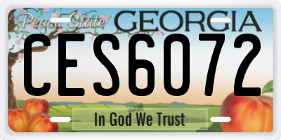 GA license plate CES6072