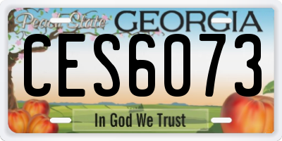 GA license plate CES6073