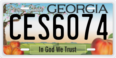 GA license plate CES6074