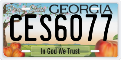 GA license plate CES6077