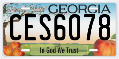 GA license plate CES6078