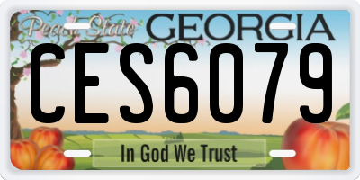 GA license plate CES6079