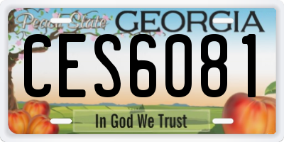 GA license plate CES6081