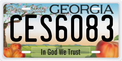 GA license plate CES6083
