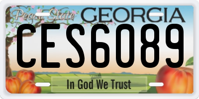 GA license plate CES6089