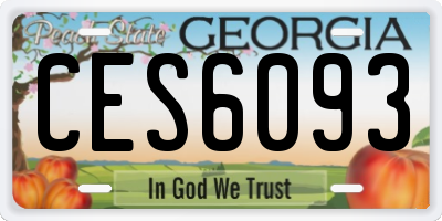 GA license plate CES6093