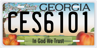 GA license plate CES6101