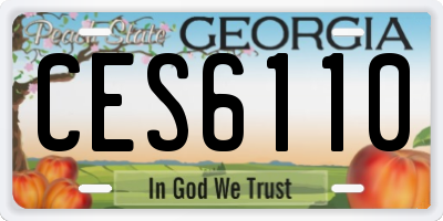 GA license plate CES6110