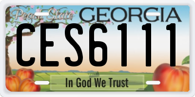 GA license plate CES6111