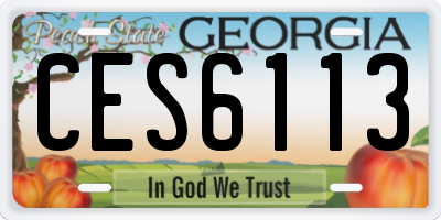 GA license plate CES6113