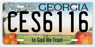 GA license plate CES6116