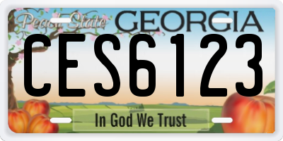 GA license plate CES6123