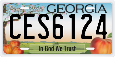 GA license plate CES6124