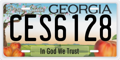 GA license plate CES6128