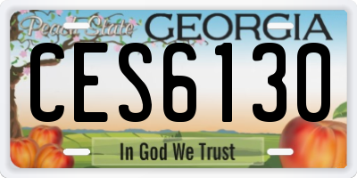 GA license plate CES6130
