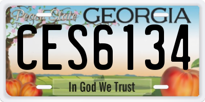GA license plate CES6134