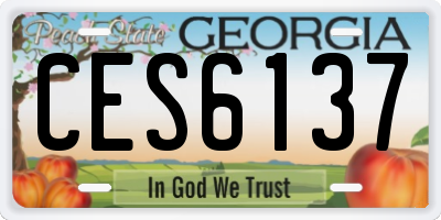 GA license plate CES6137