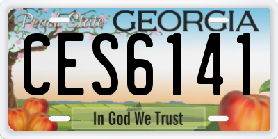 GA license plate CES6141