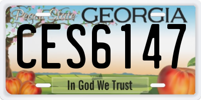 GA license plate CES6147