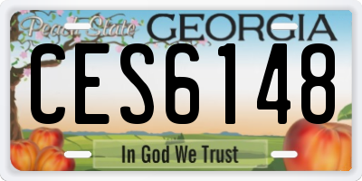 GA license plate CES6148