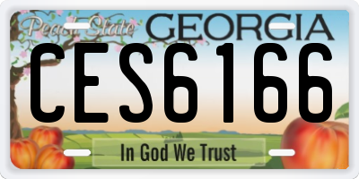 GA license plate CES6166